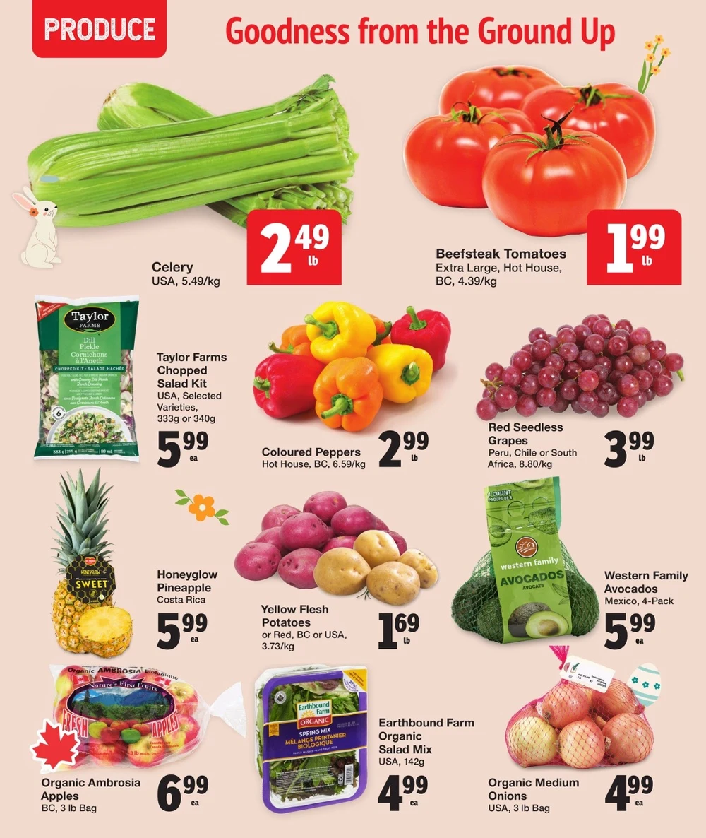 Quality Foods Flyer April 17 to April 23, 2025 4 – Quality Foods Flyer April 17 to April 23, 2025 4 – quality foods flyer april 17 to 23 1744819216348 4