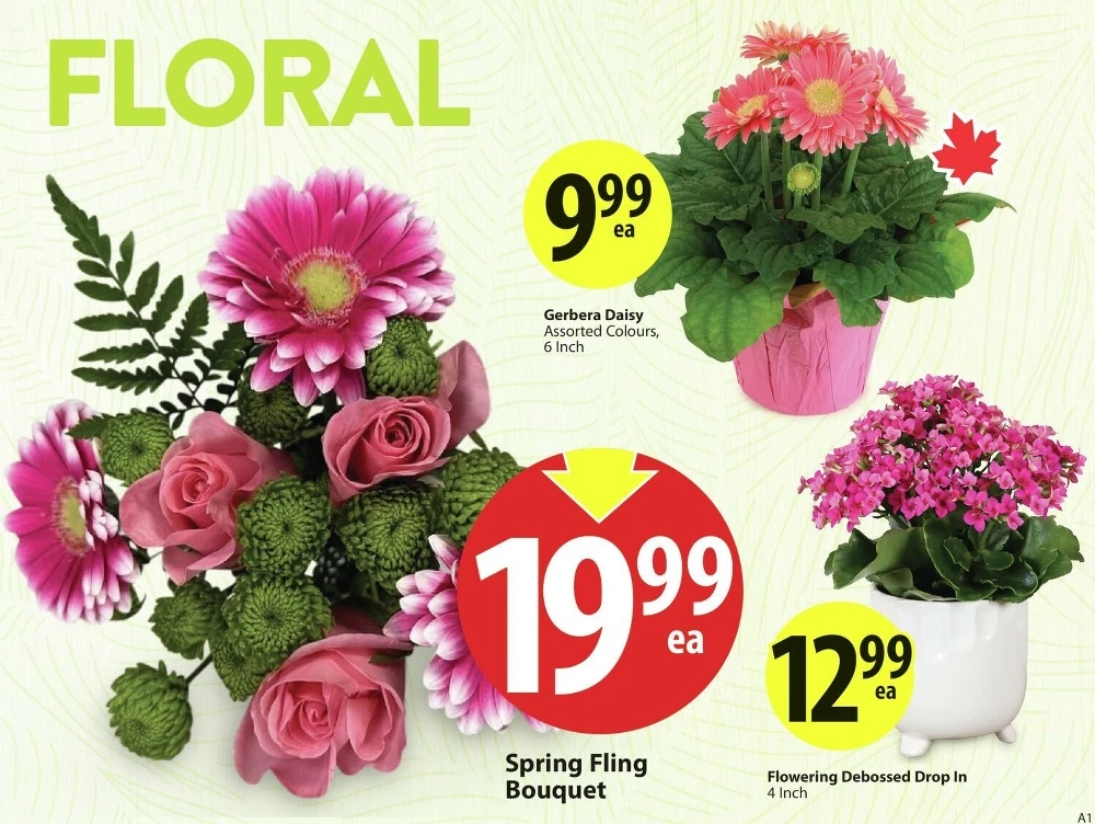 Save On Foods Flyer April 24 to April 30, 2025 3 – save on foods Save On Foods Flyer April 24 to April 30, 2025 3 – save on foods flyer april 24 30 3