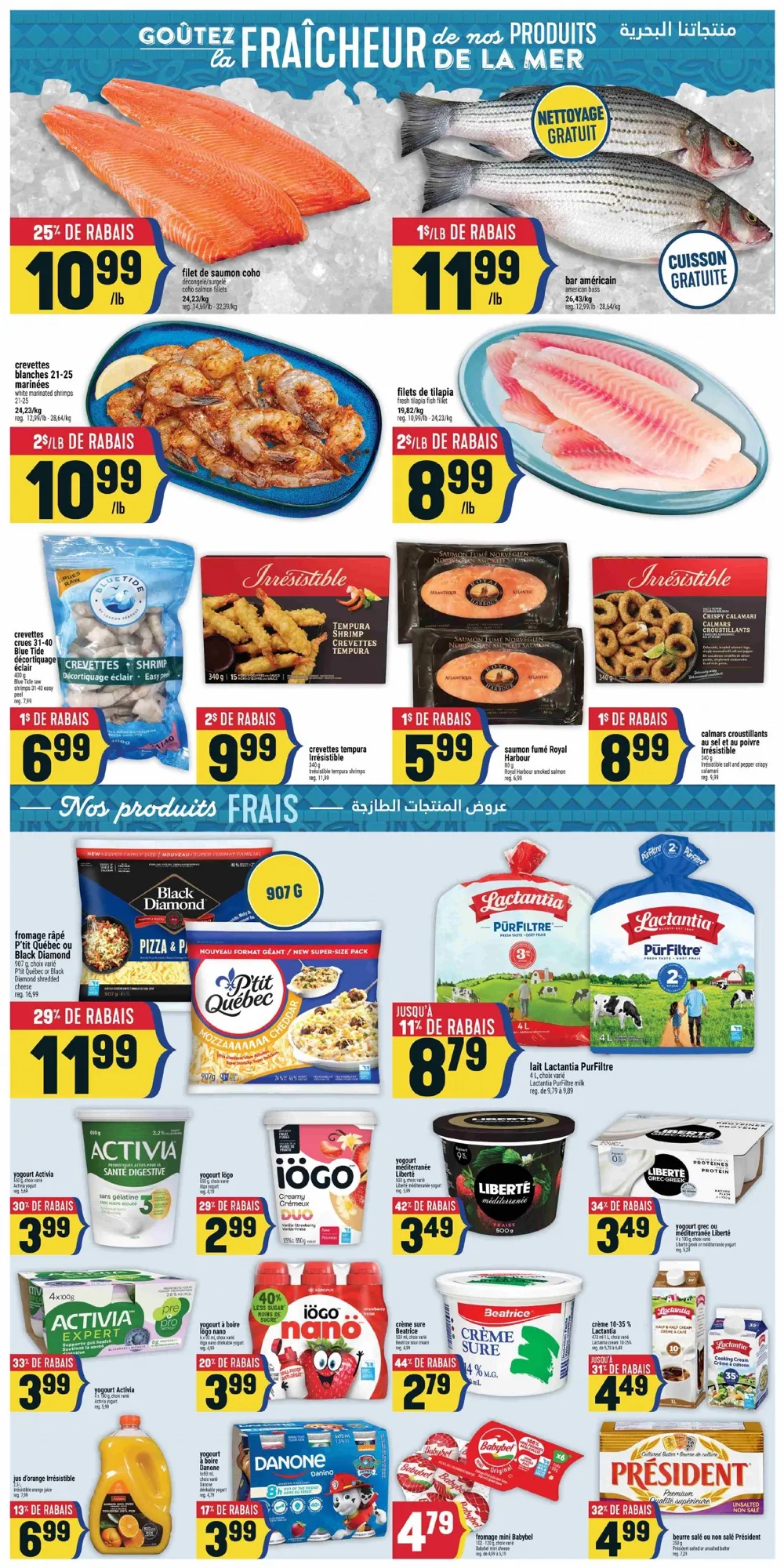 adonis flyer 1 7 000004