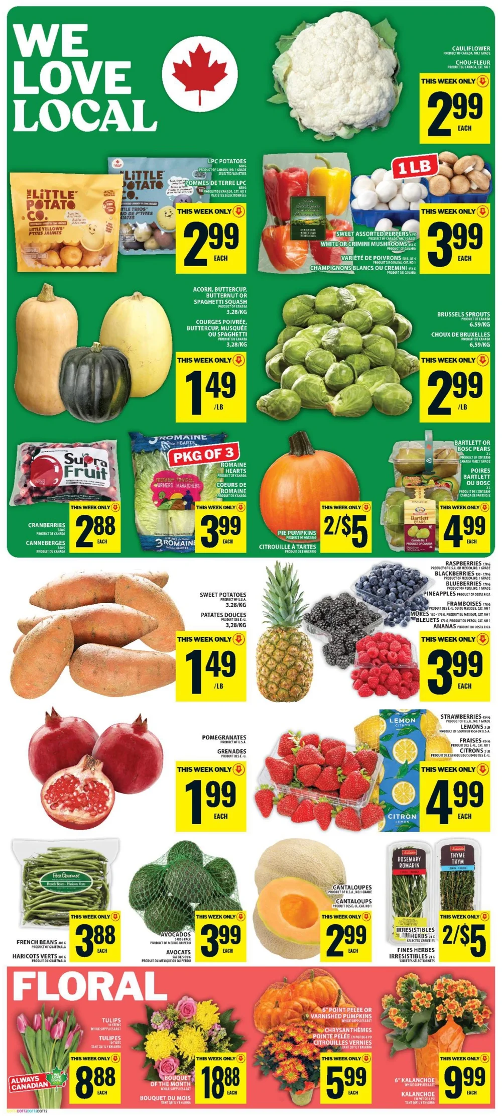 Food Basics Upcoming Flyer (Oct 8 – 14, 2026) Preview - Image 1 October 1 - 7