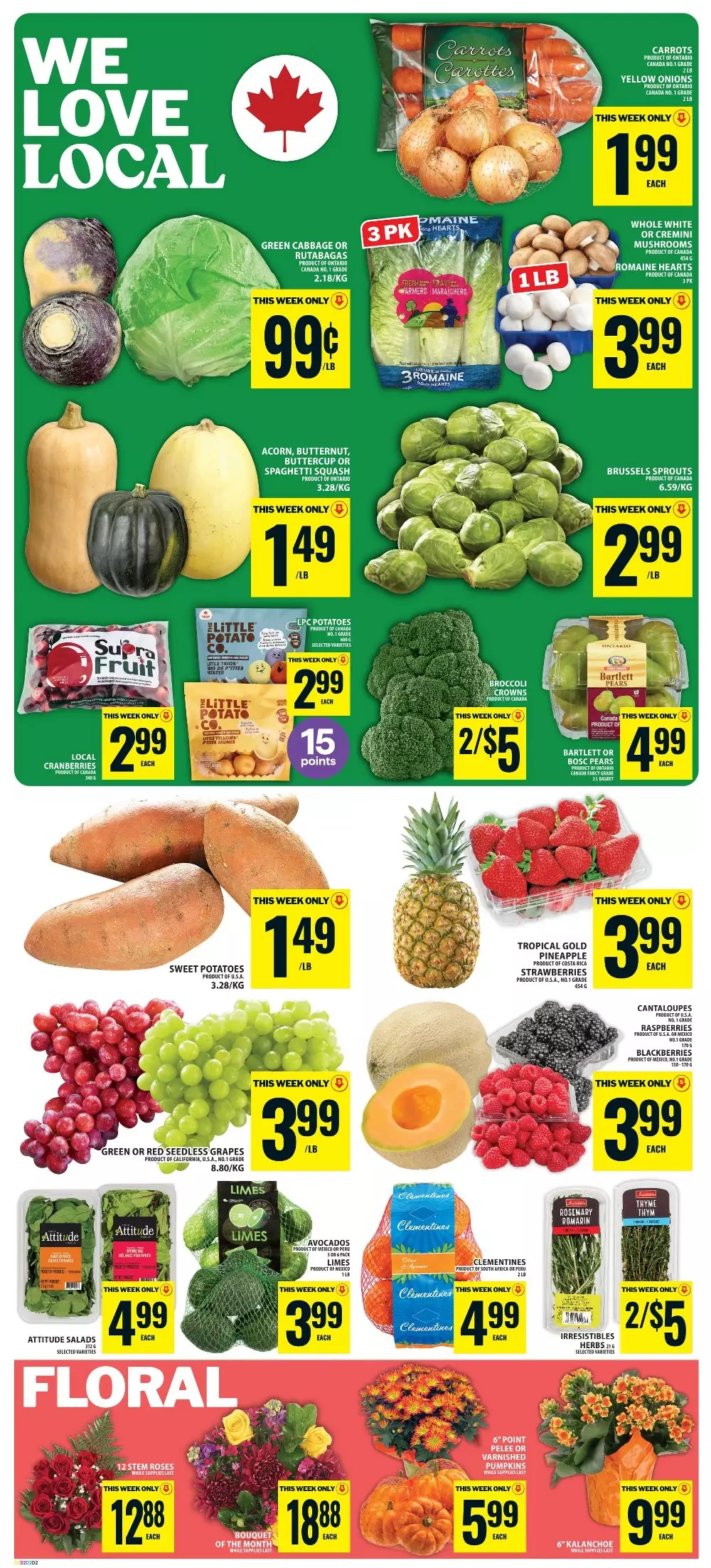 Food Basics Upcoming Flyer (Oct 8 – 14, 2026) Preview - Image 1 October 8 - 14