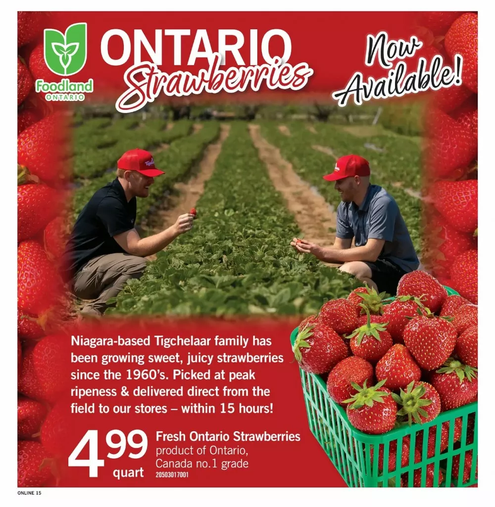 Fortinos Flyer July 16 - 22, 2026 - Image 1 June 11 - 17