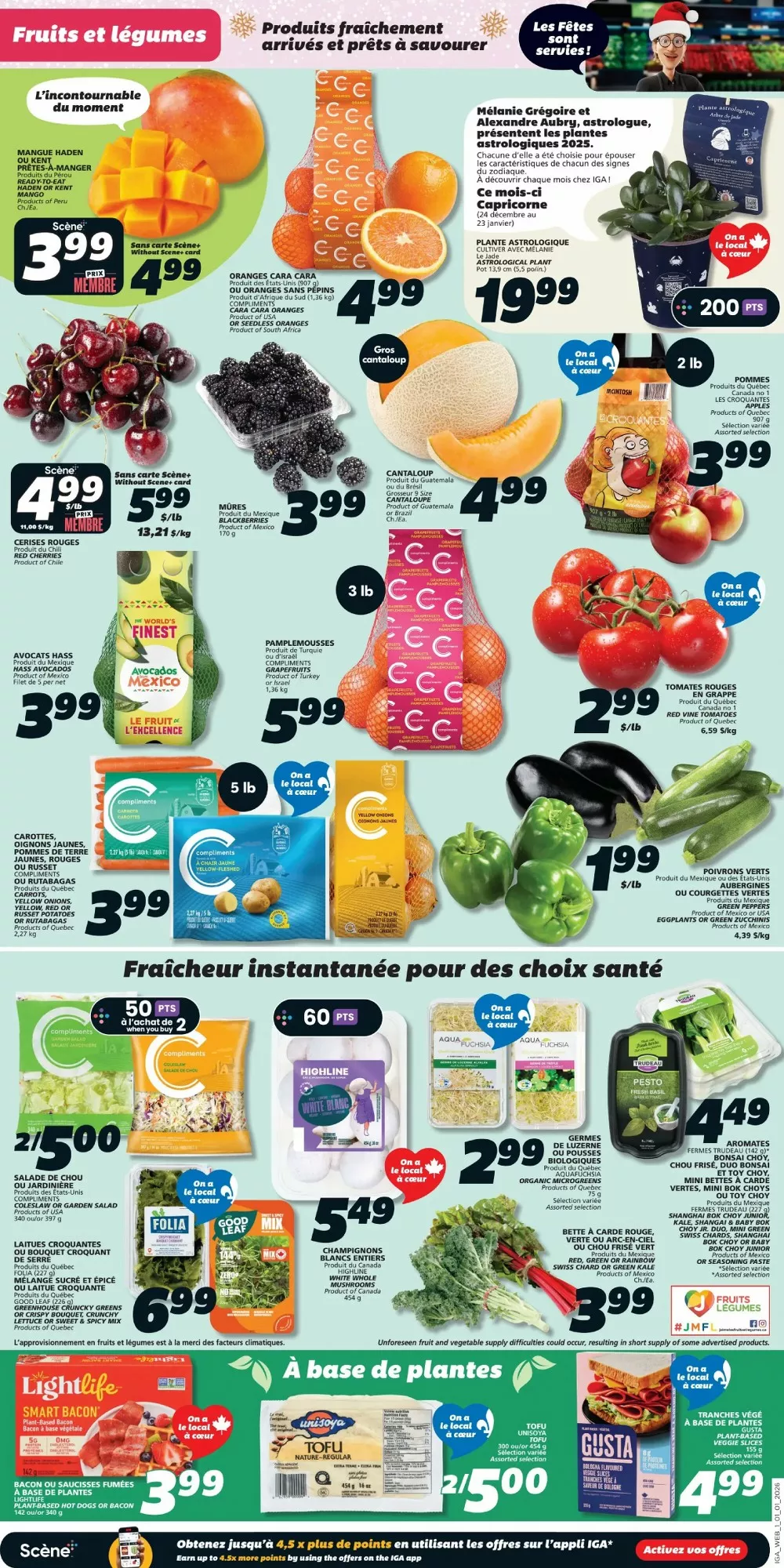 iga flyer january 1 7 3 46696910
