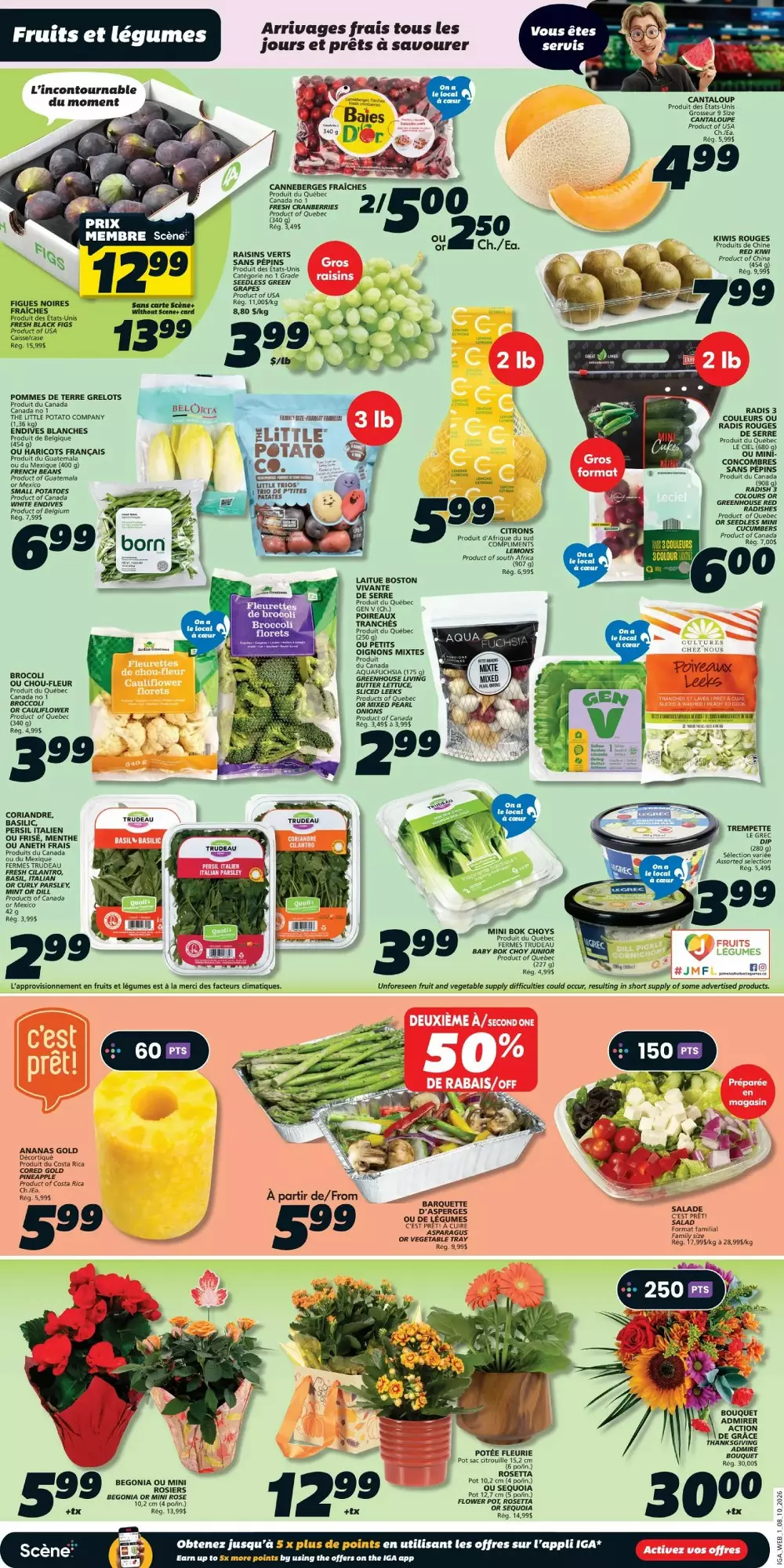 Iga Upcoming Flyer (Oct 15 - 21, 2026) Preview - Image 1 October 8 - 14