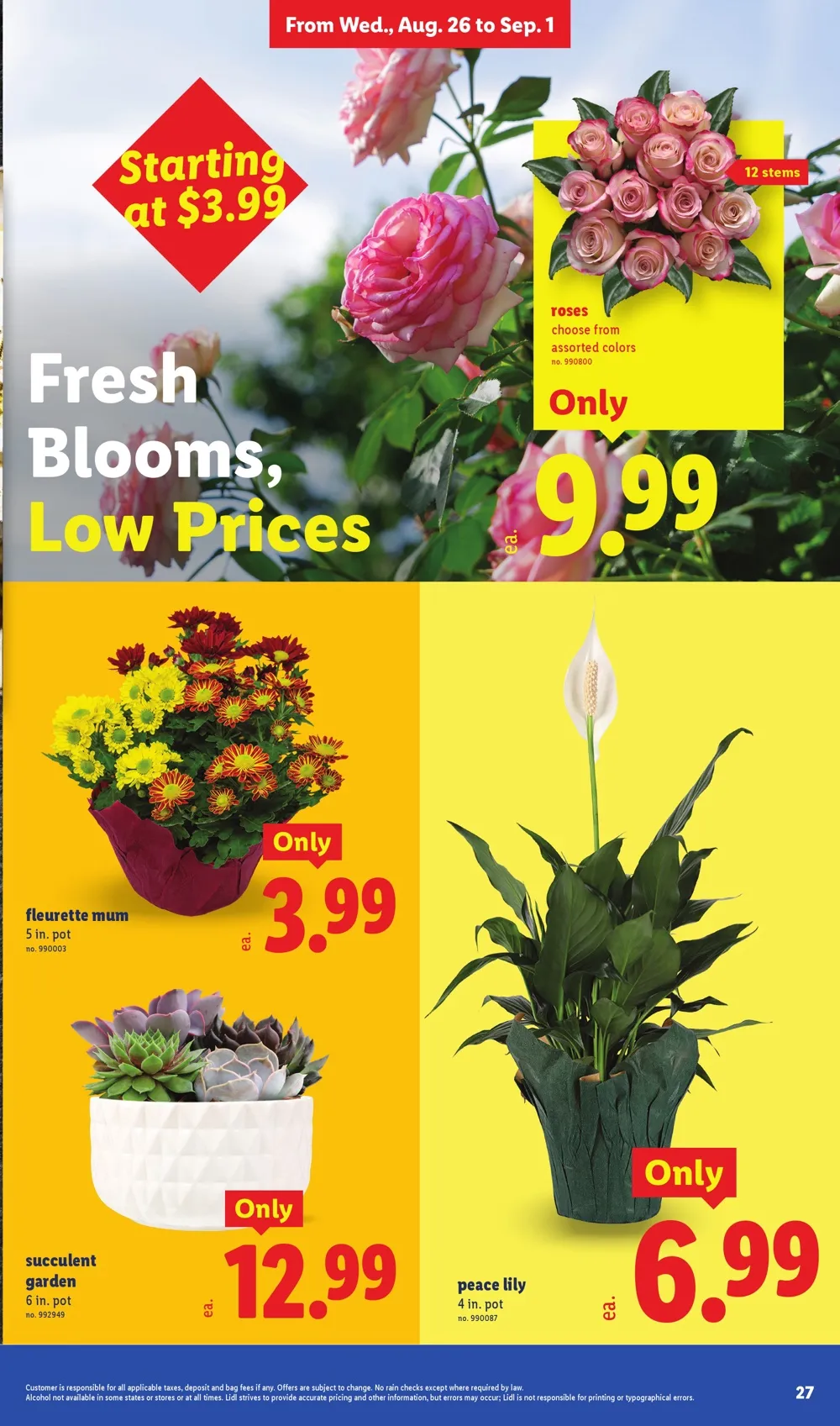 Lidl Weekly Ad Deals August 26 – September 1, 2026 - Image 1 August 26 - September 1