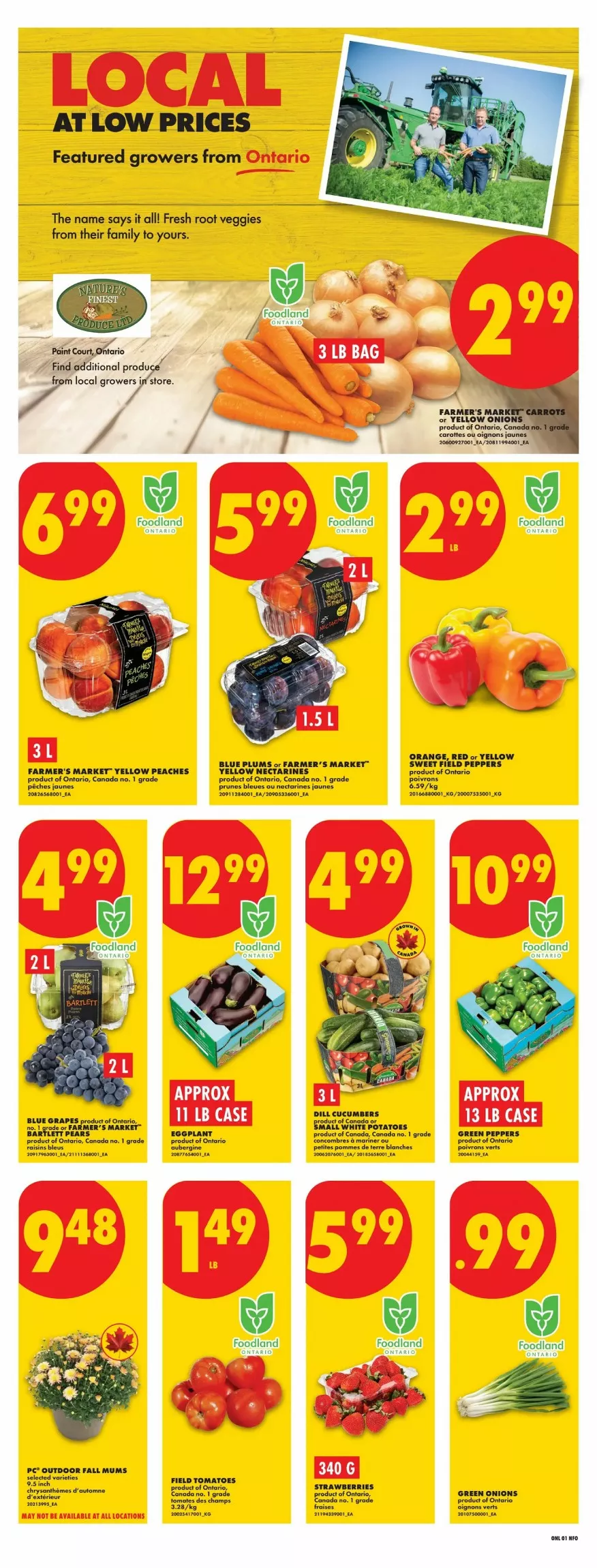 No Frills Flyer August 27 - September 2, 2026 - Image 1 August 27 - September 2, 2026