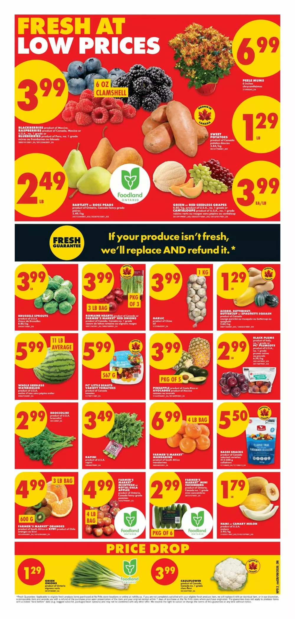 No Frills Upcoming Flyer (Oct 8 - 14, 2026) Sneak Peek - Image 2 October 1 - 7