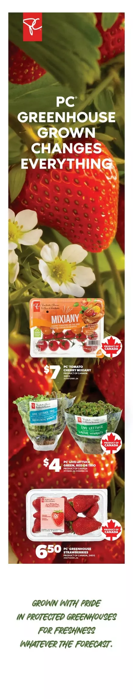 Real Canadian Superstore Flyer (Oct 8 - 14, 2026) Sneak Peek - Image 2 October 1 - 7