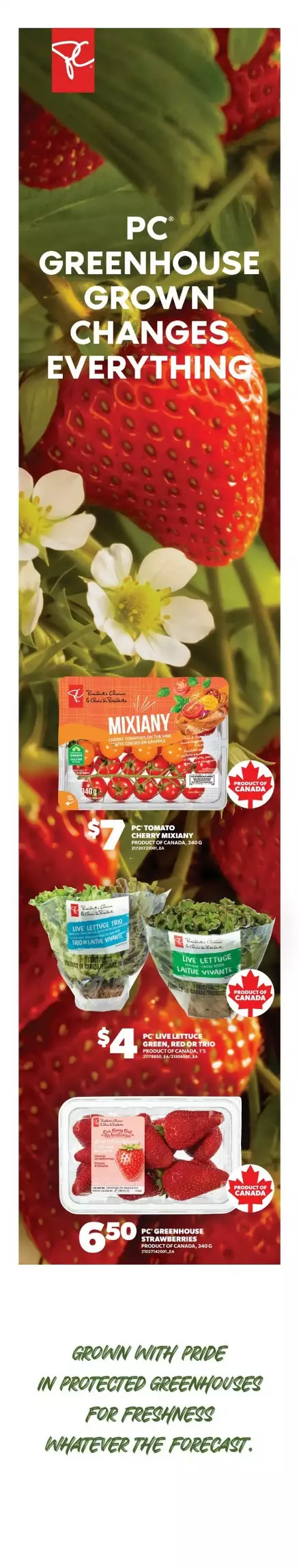 Real Canadian Superstore Flyer (Oct 8 - 14, 2026) Sneak Peek - Image 2 October 8 - 14