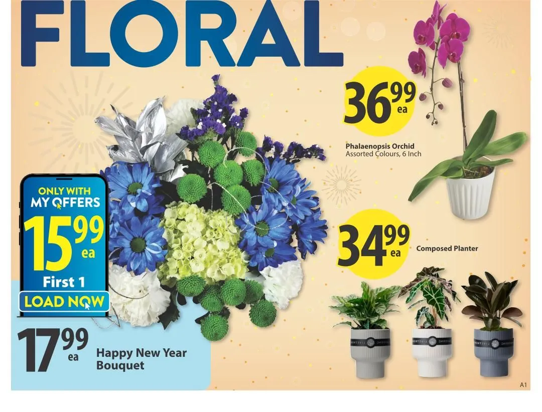 save on foods bc flyer december 27 to 31 4