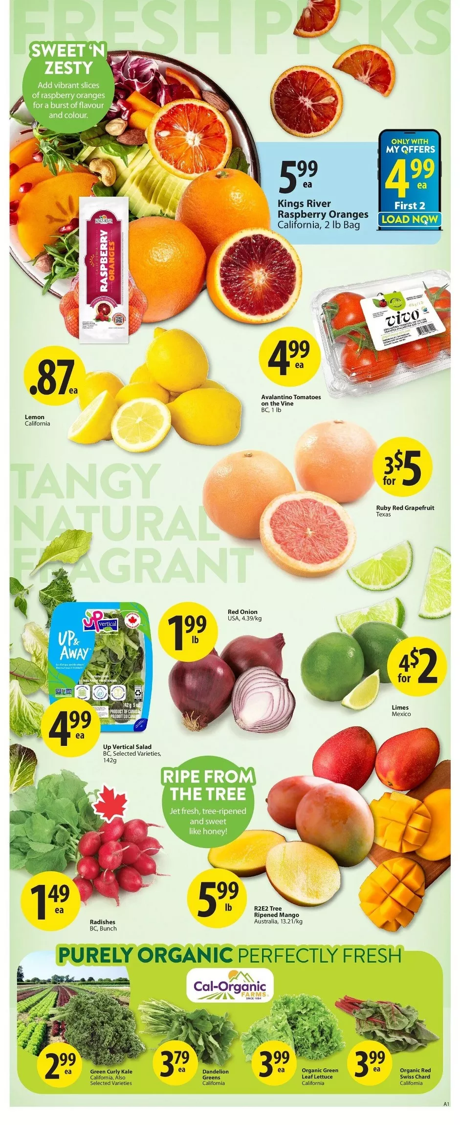 save on foods flyer january 2 7 29 03789746