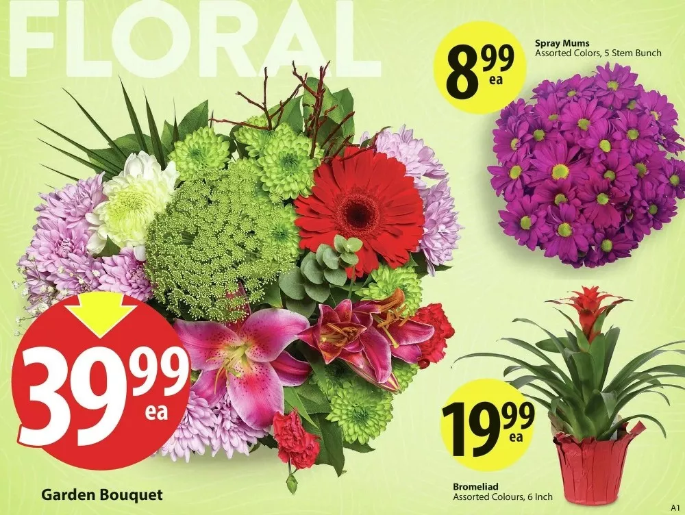 save on foods flyer january 2 7 2 88525762