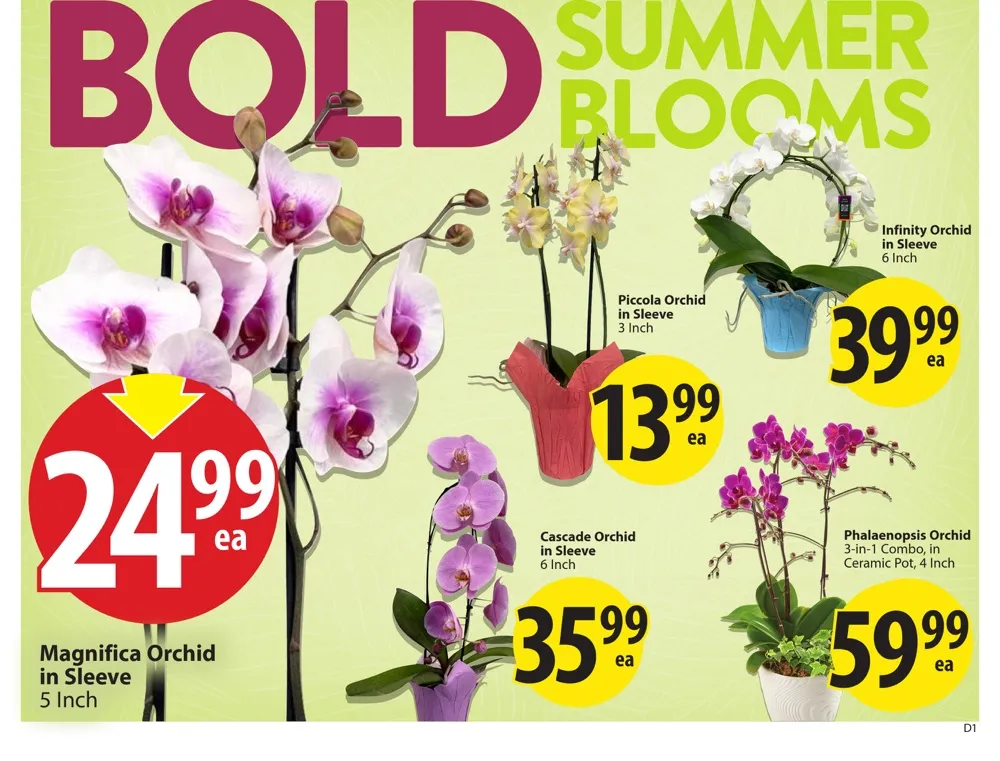 Save On Foods Flyer July 23 - 29, 2026 - Image 3 July 16 - 22